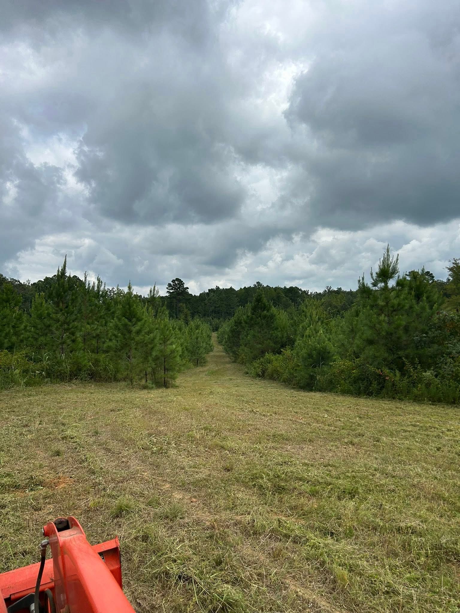 A tractor-cut path leads through green bushes under a cloudy sky.