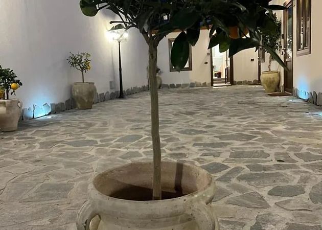 Cortile in pietra con fioriera centrale, piante in vaso e illuminazione soffusa dal basso durante la notte.