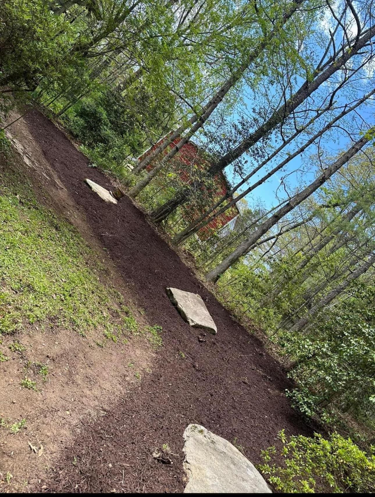 A path in the woods with trees on both sides and a rock in the middle.