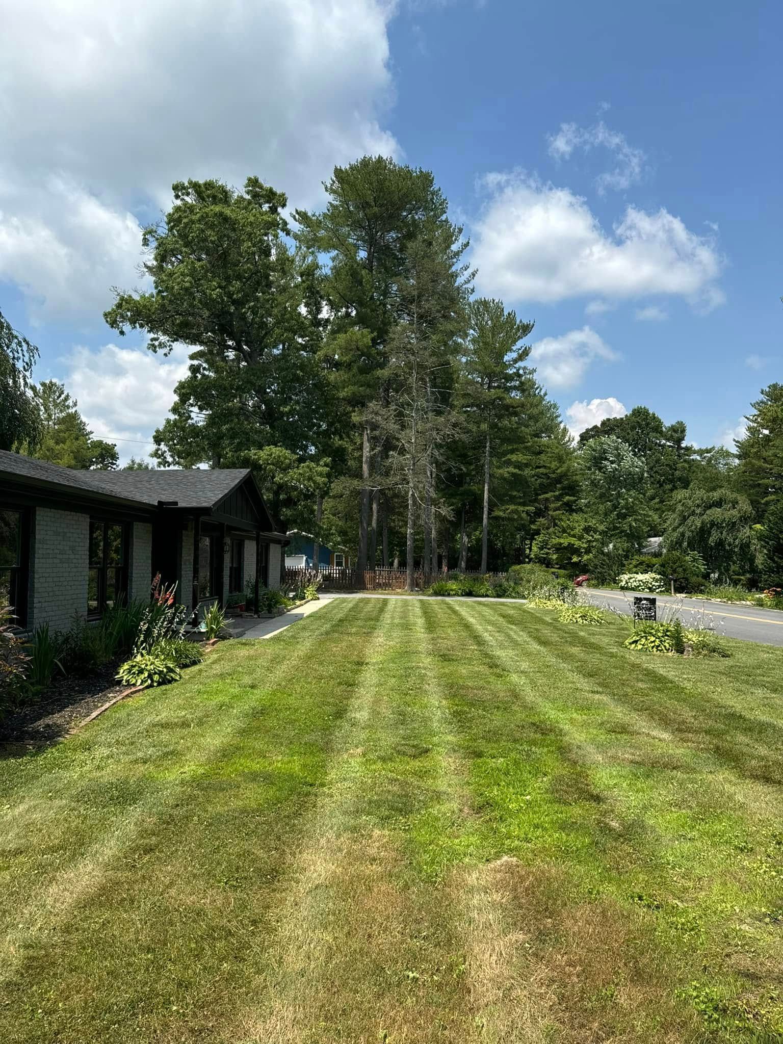 A lush green lawn with trees in the background and a house in the background.