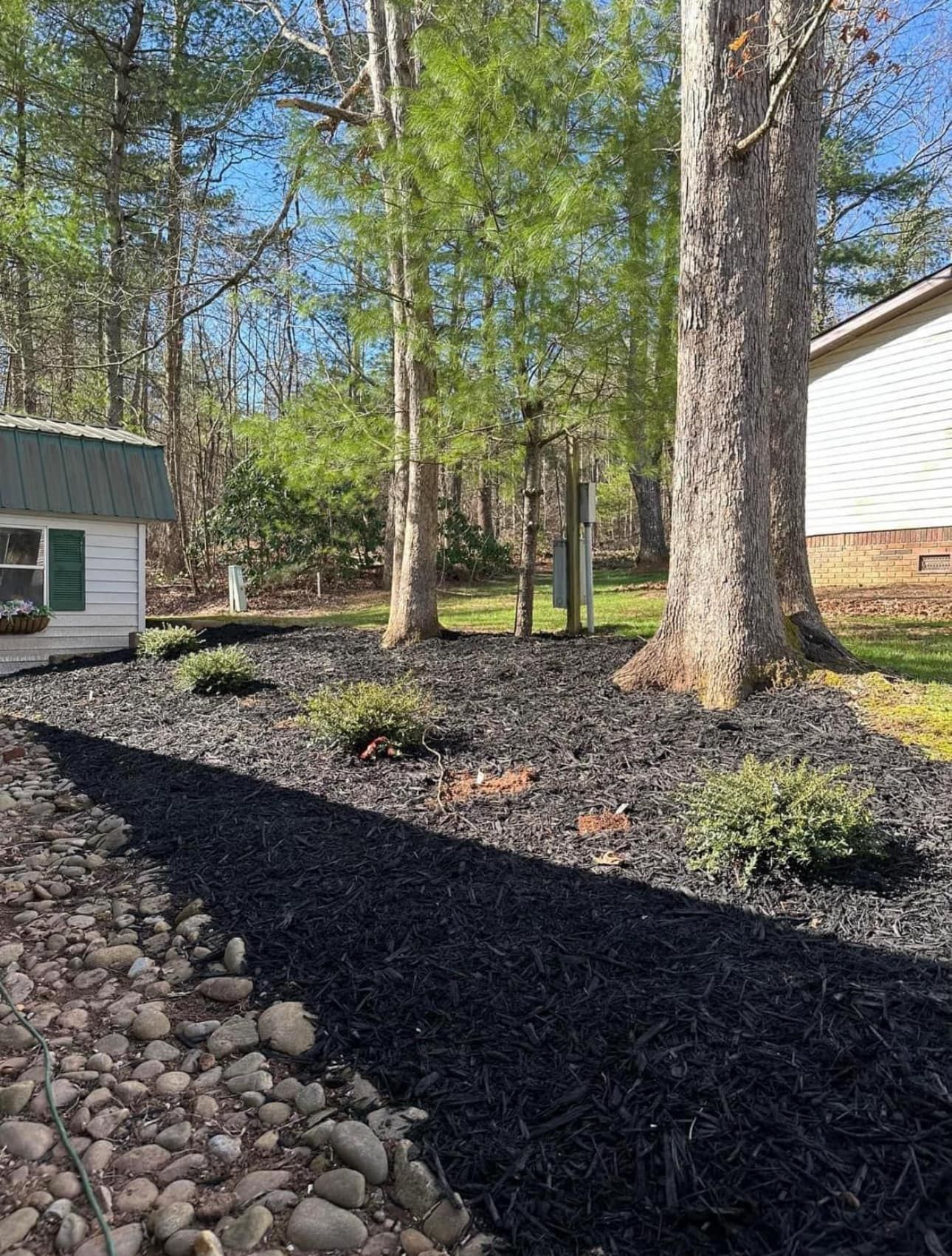 There is a house in the background and trees in the background.