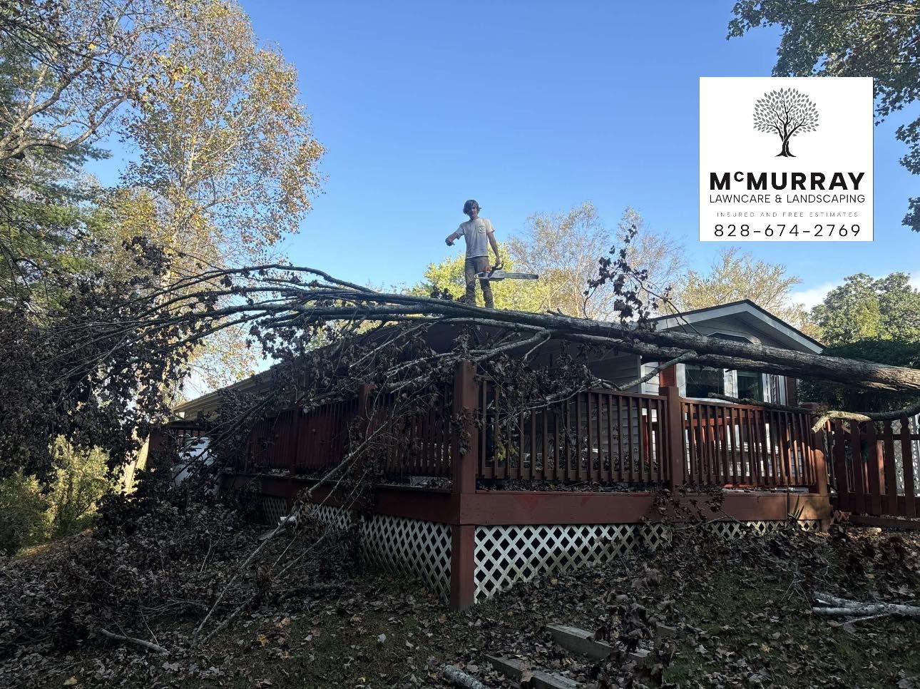 A man is standing on the roof of a house holding a tree branch.