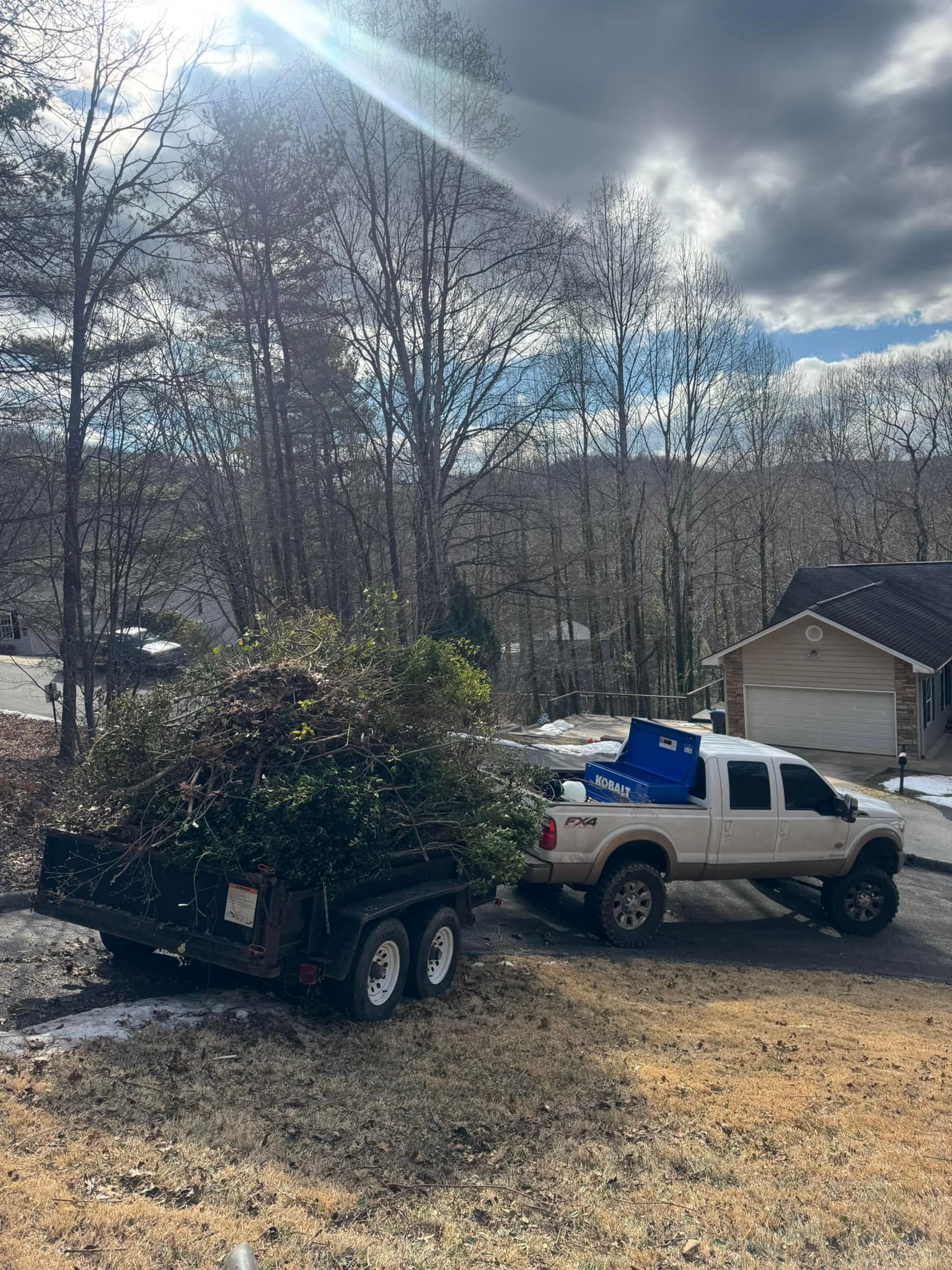 A white truck is towing a trailer with a christmas tree on it.