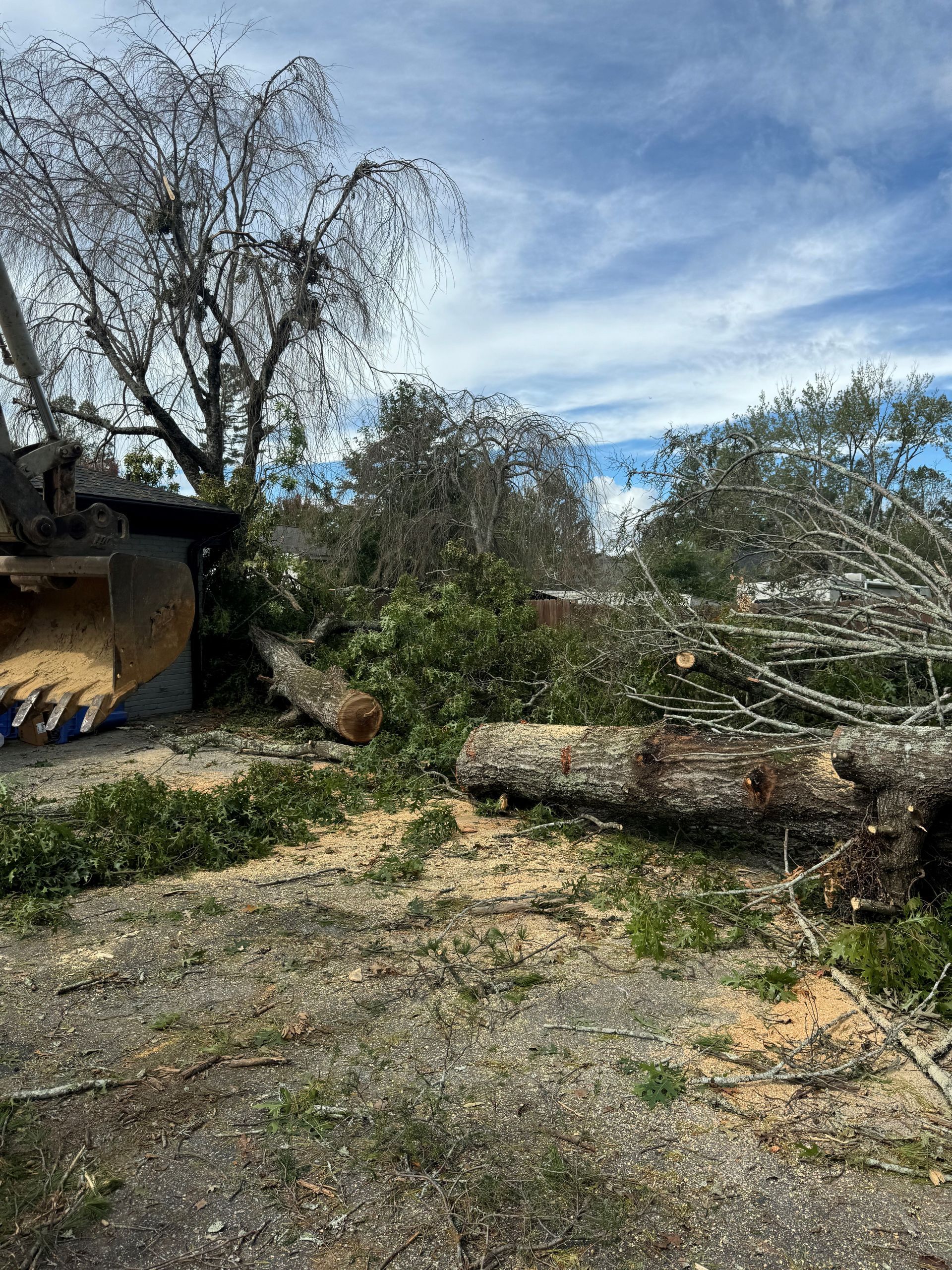 A pile of logs laying on the grass in front of a building.