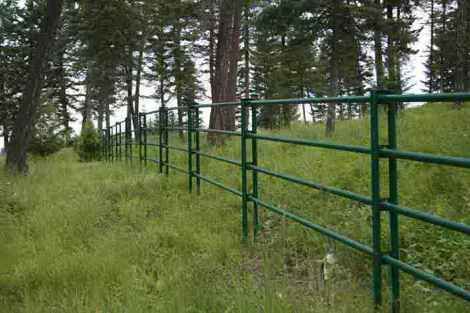A green metal fence surrounds a grassy field in the middle of a forest.