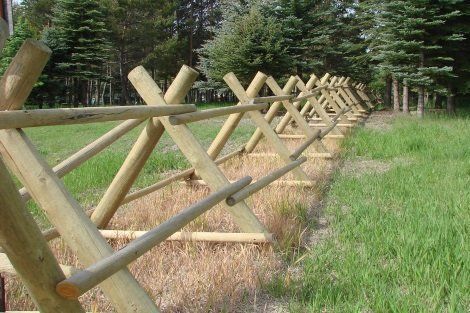 A row of wooden posts in a field with trees in the background