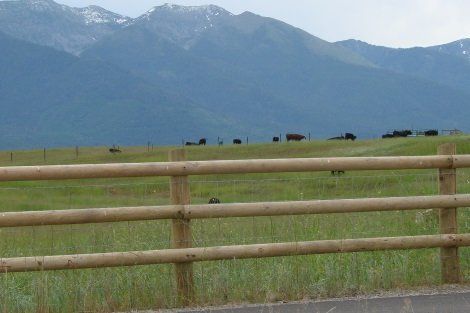 A wooden fence surrounds a grassy field with mountains in the background.