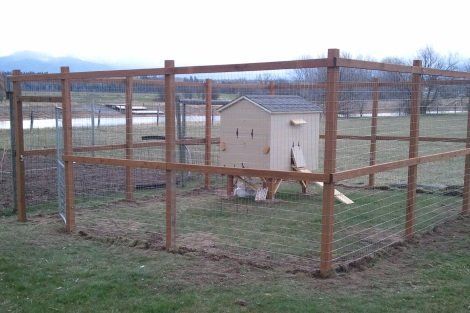 A chicken coop is behind a wooden fence in a grassy field.