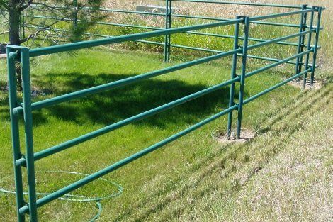 A green metal fence is in the middle of a grassy field.