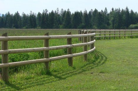A wooden fence surrounds a grassy field with trees in the background
