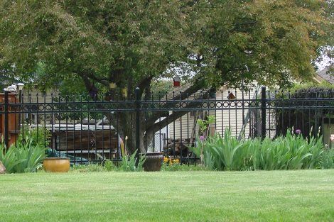 A black fence surrounds a lush green lawn in front of a house.