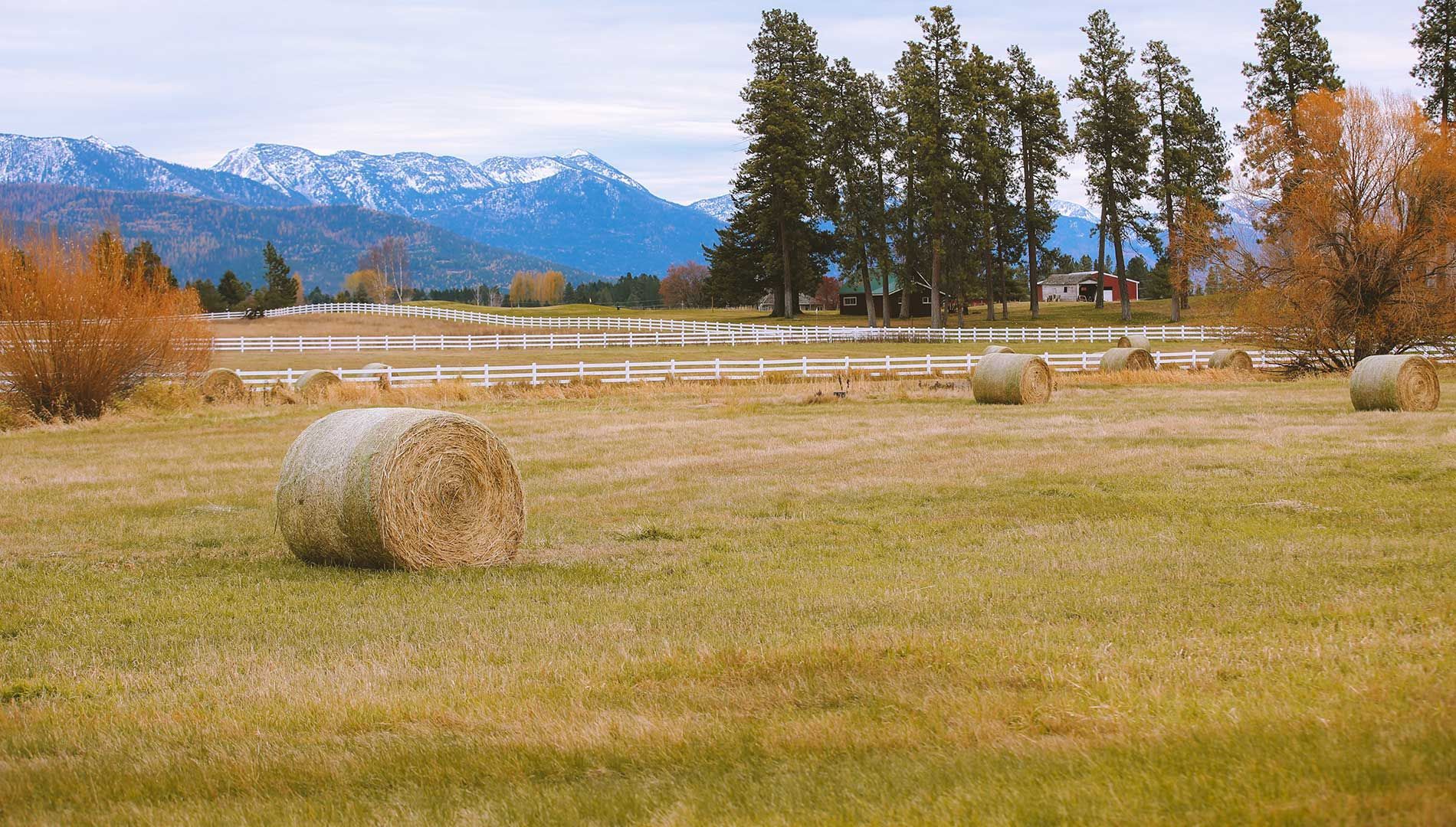 Contact Washington Fence Free Quotes