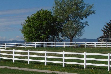 A white fence surrounds a grassy field with trees in the background