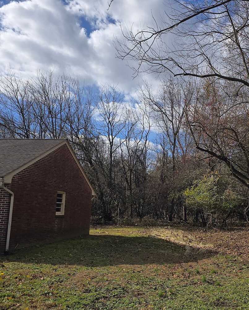 After trimming of bush.