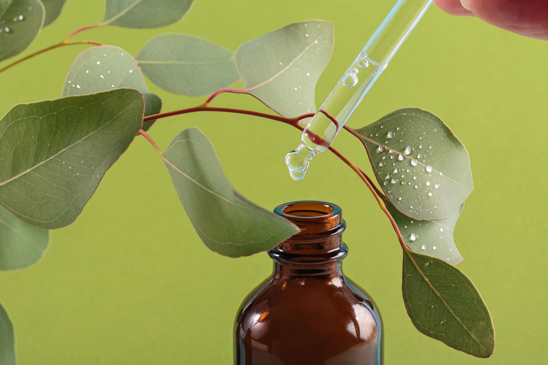 Una persona sta versando del liquido da una pipetta in una bottiglia.