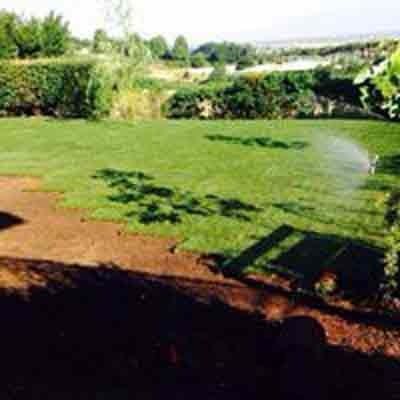 Un appezzamento di prato verde appena posato si trova accanto a un'area di terreno marrone in un cortile soleggiato con alberi sullo sfondo.