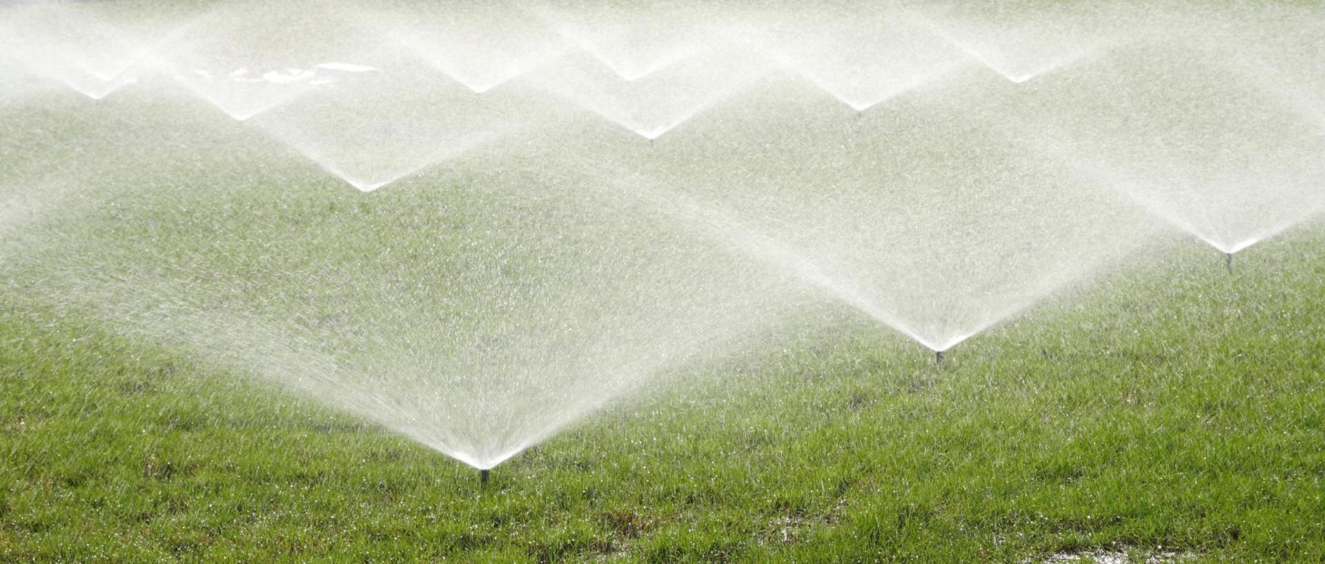 Numerosi irrigatori spruzzano acqua su un rigoglioso prato verde in una giornata luminosa e soleggiata.