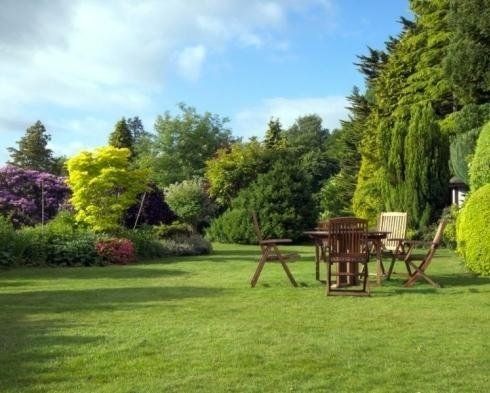 messa a dimora di piante