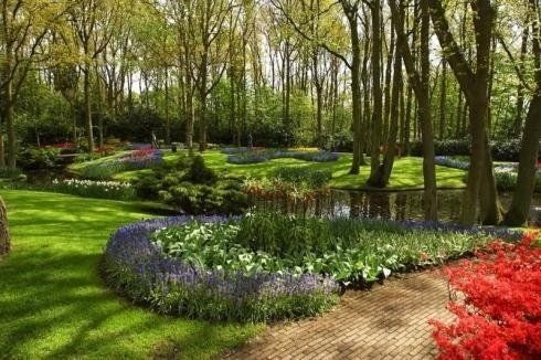 potatura alberi ornamentali