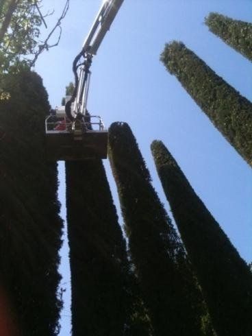 interventi di potatura