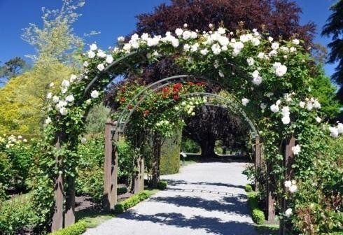 allestimento spazi verdi