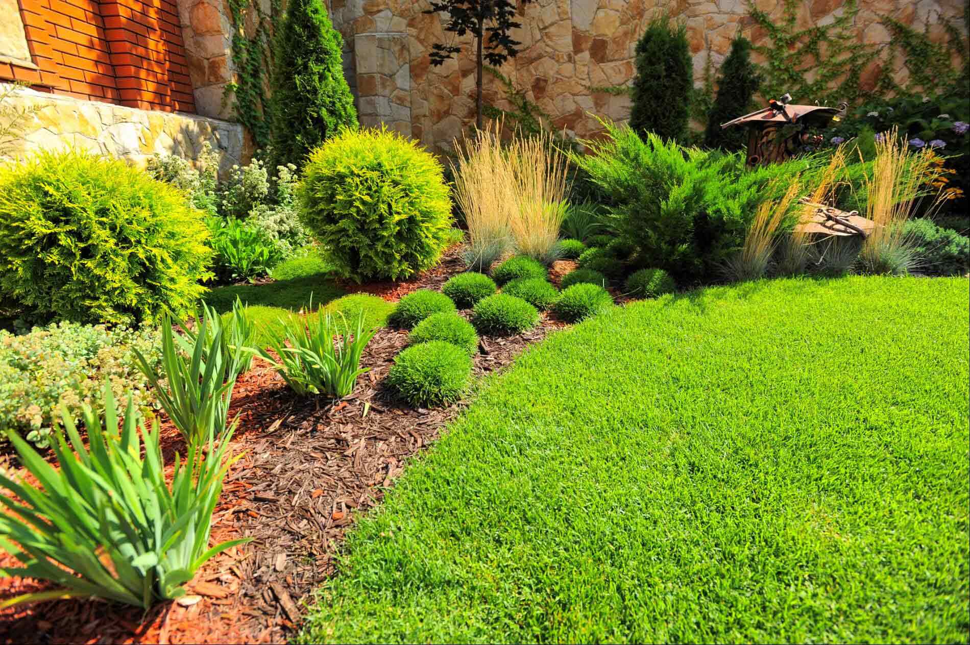 Un giardino ben curato è caratterizzato da un prato verde brillante delimitato da un'aiuola pacciamata piena di arbusti, erbe ornamentali e iris.