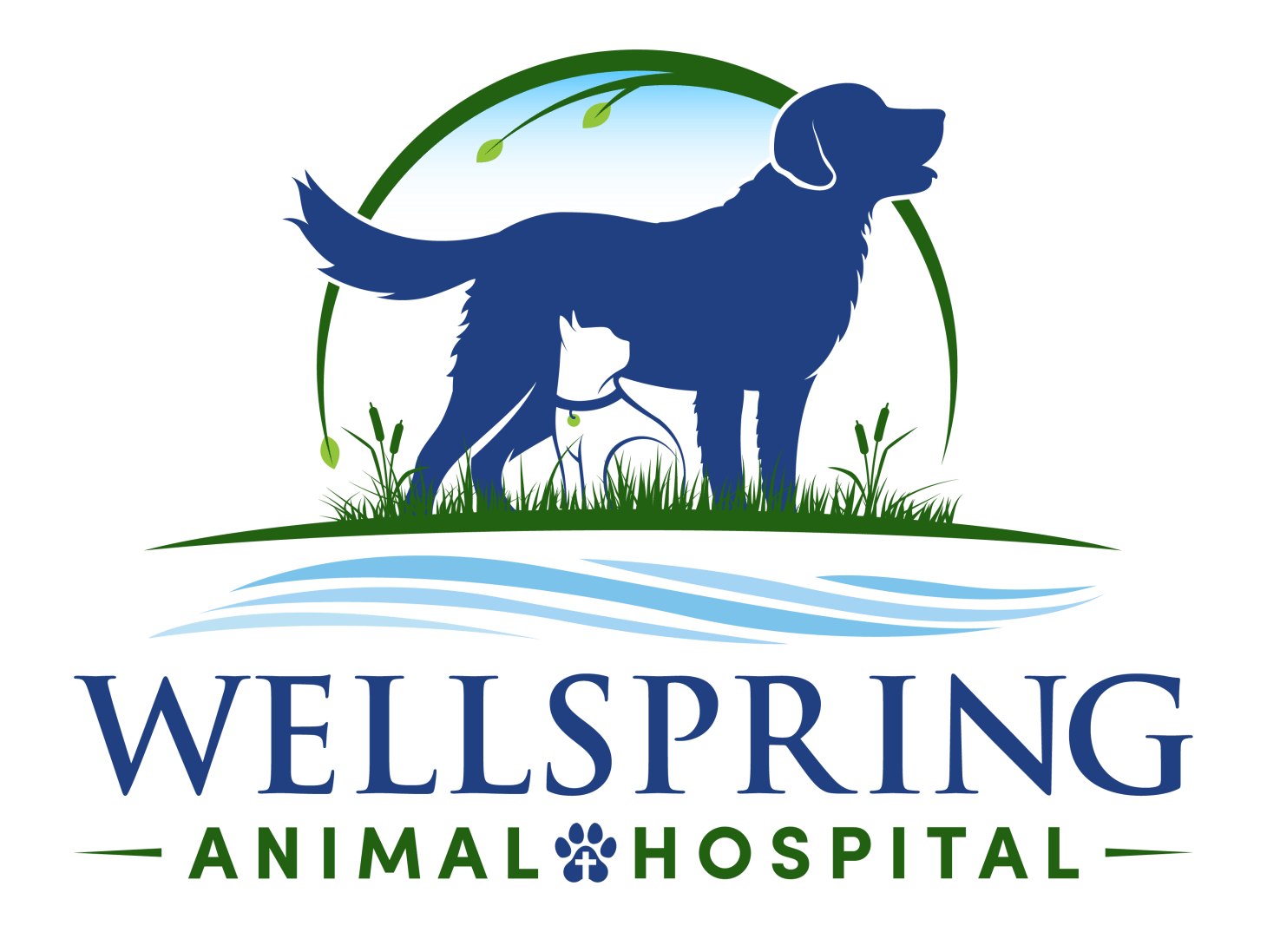 Treating Disease In Dogs Infoupdate