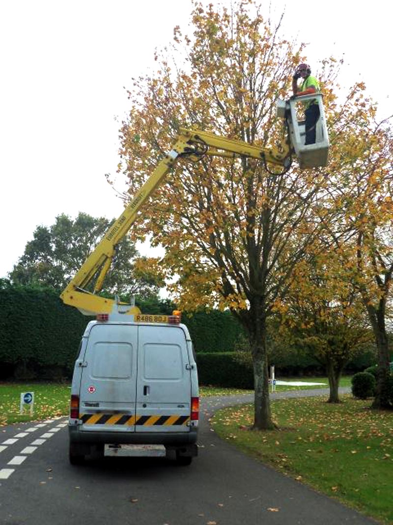 CHERRY PICKER HIRE