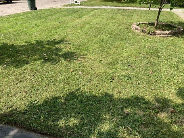 Closed-Up Image Of A Cutted Garden Grass - Columbus, OH - High Grass Lawncare, LLC