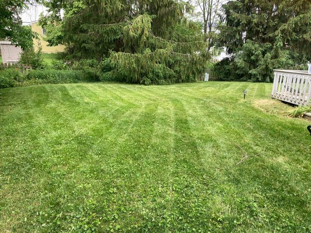 Cleaned Grass On A Backyard - Columbus, OH - High Grass Lawncare, LLC 
