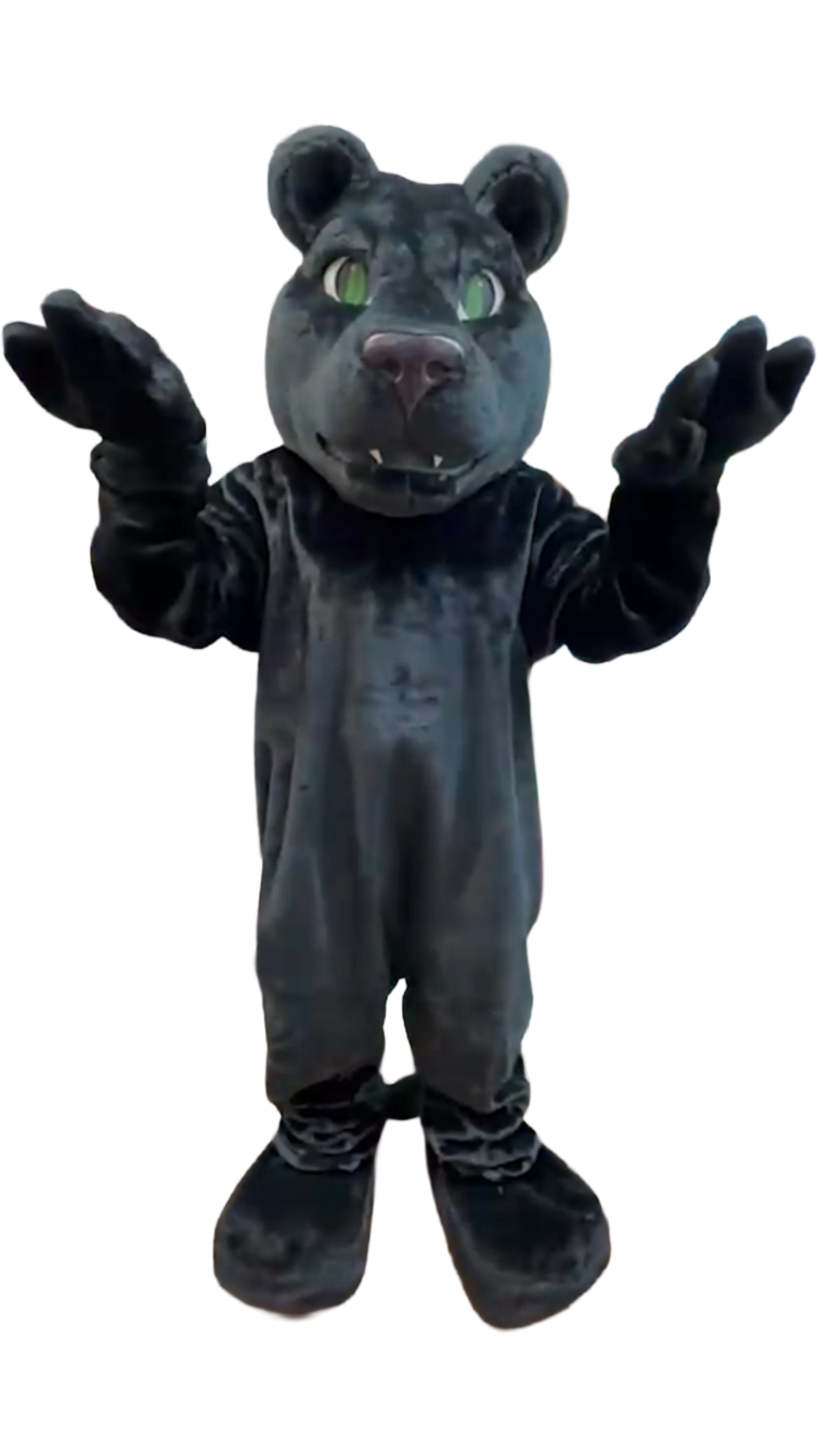 Costume Characters Black Panther New York City Bronx Manhattan Bronx Queens Long Island Nassau County