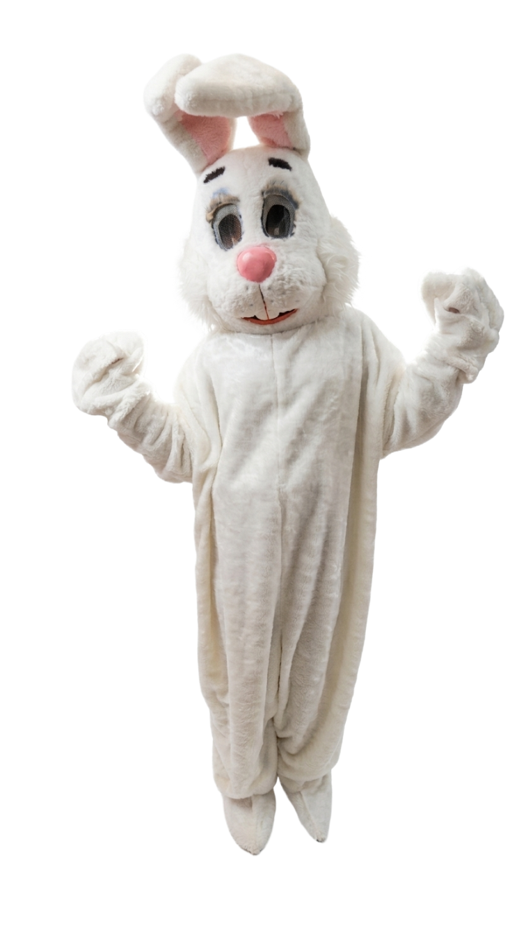 Costume Characters Bunny New York City Bronx Manhattan Bronx Queens Long Island Nassau County