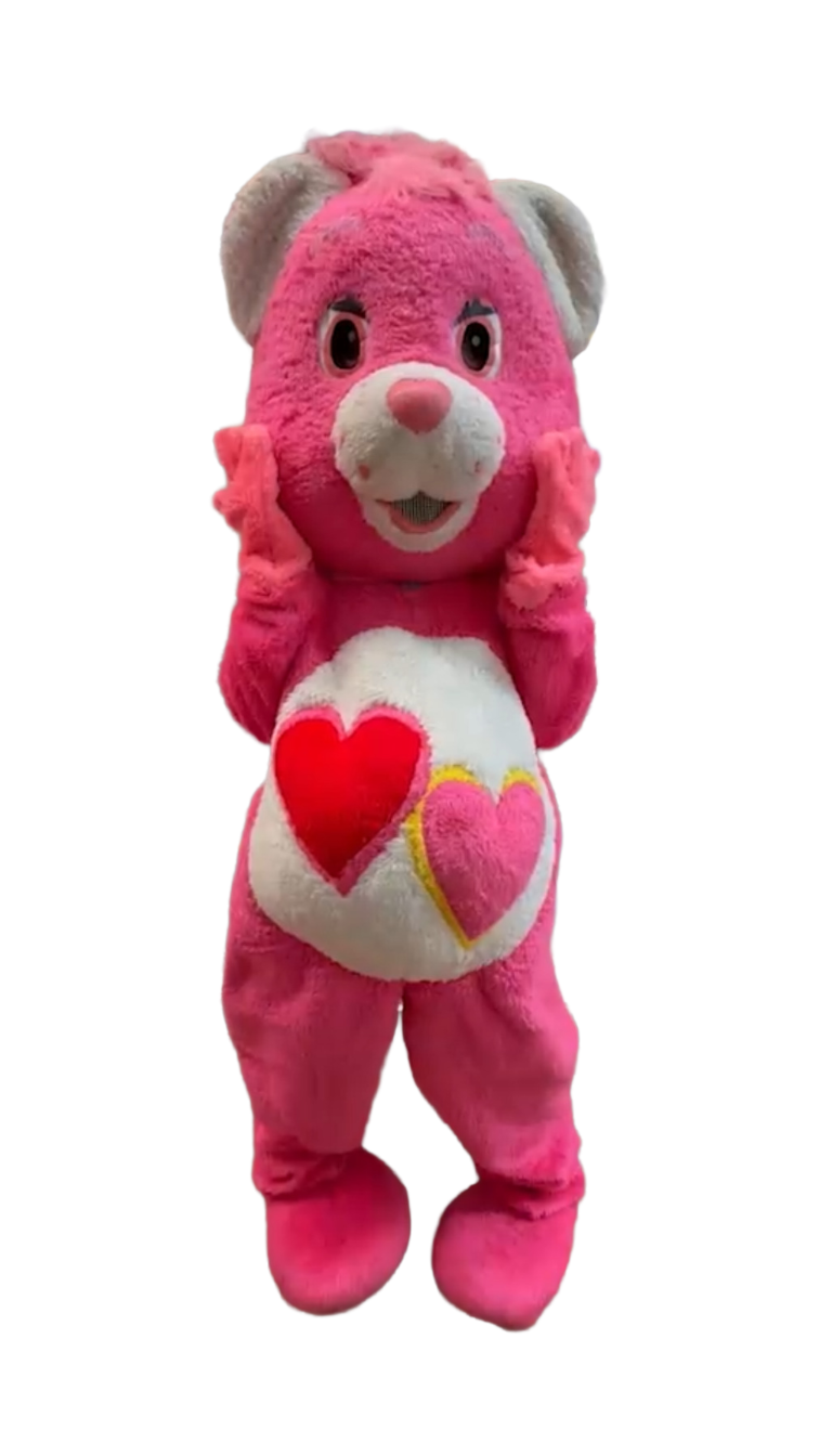 Costume Characters Care Bear New York City Bronx Manhattan Bronx Queens Long Island Nassau County