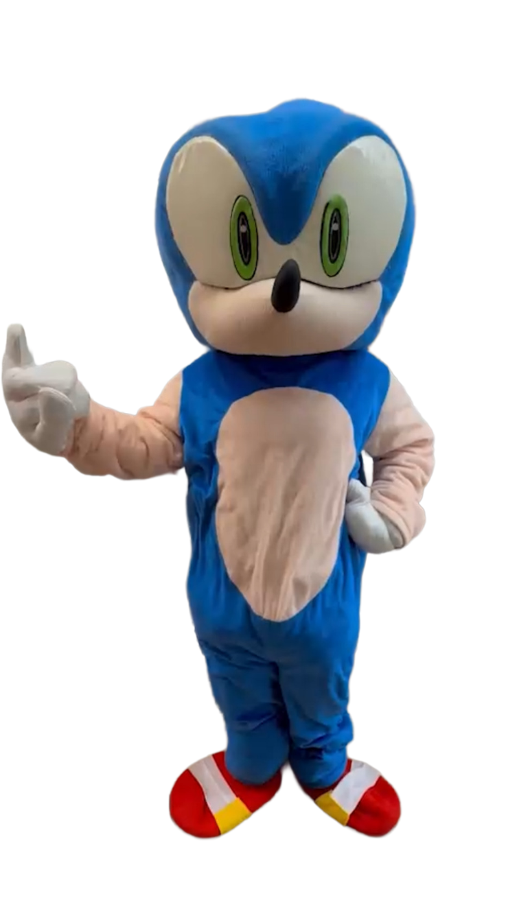 Costume Characters Sonic The Hedgehog New York City Bronx Manhattan Bronx Queens Long Island Nassau County