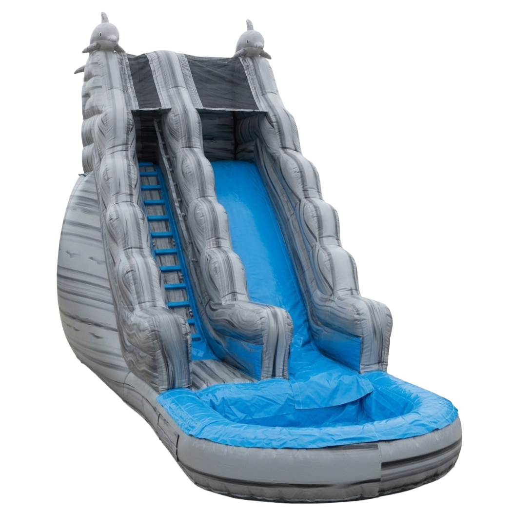 Dolphin Inflatable Slide New York City Bronx Manhattan Bronx Queens Long Island Nassau County