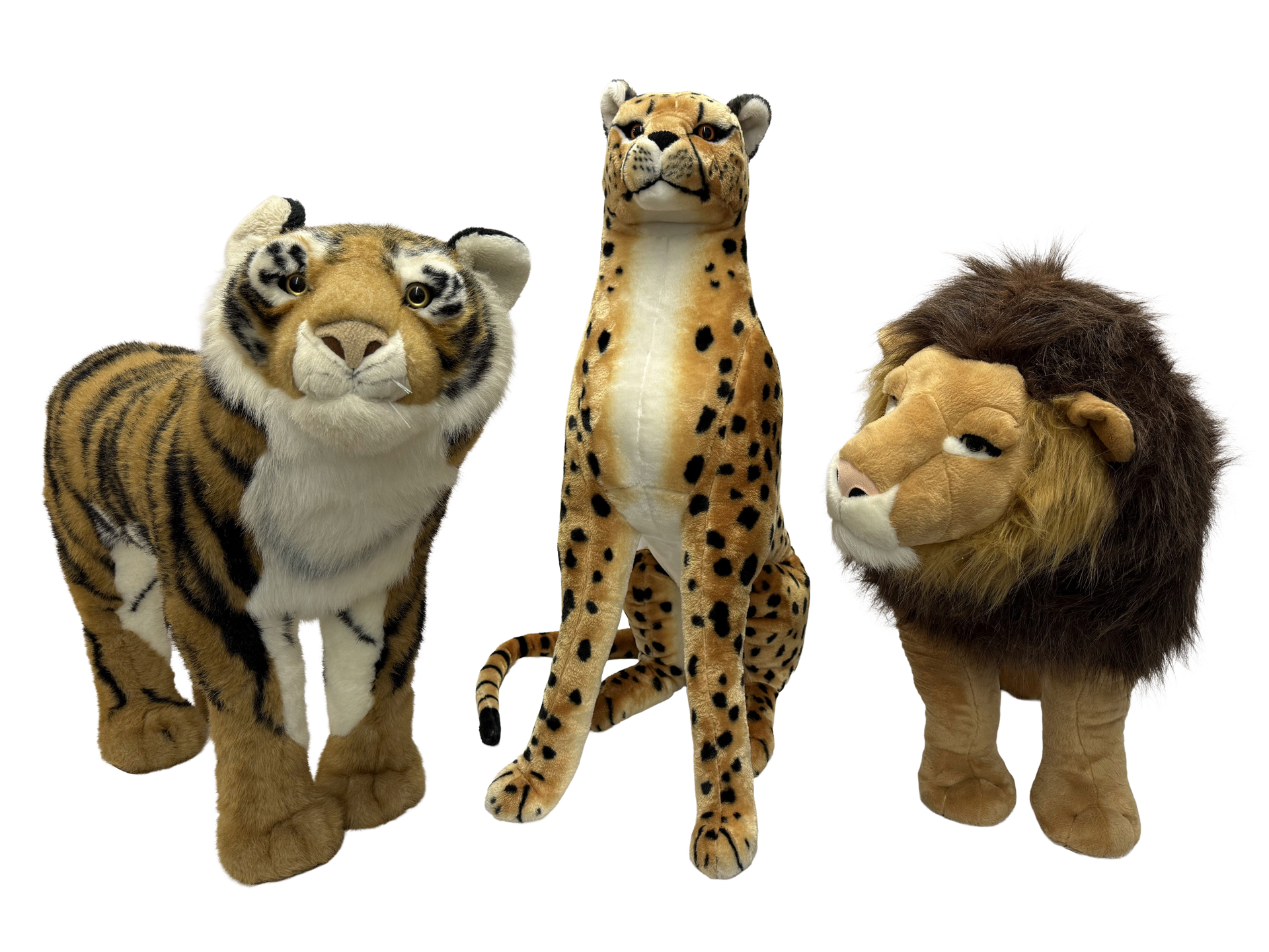Plush Stuffed Safari Animals Cheetah Lion Tiger Rental New York City Bronx Manhattan Bronx Queens Long Island Nassau County