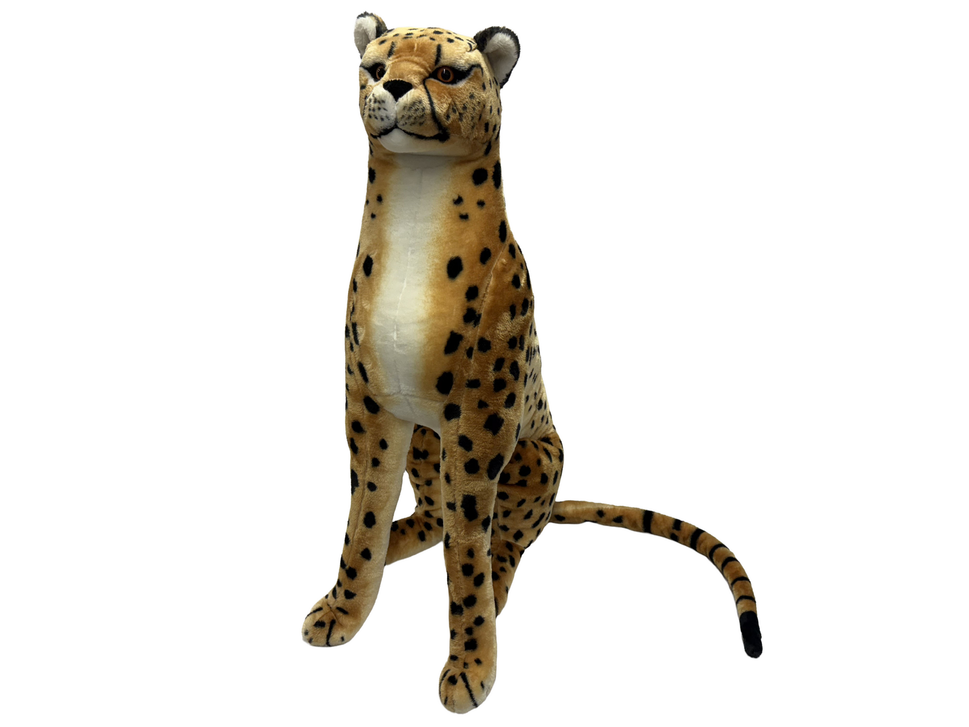 Plush Stuffed Safari Animals Cheetah Rental New York City Bronx Manhattan Bronx Queens Long Island Nassau County