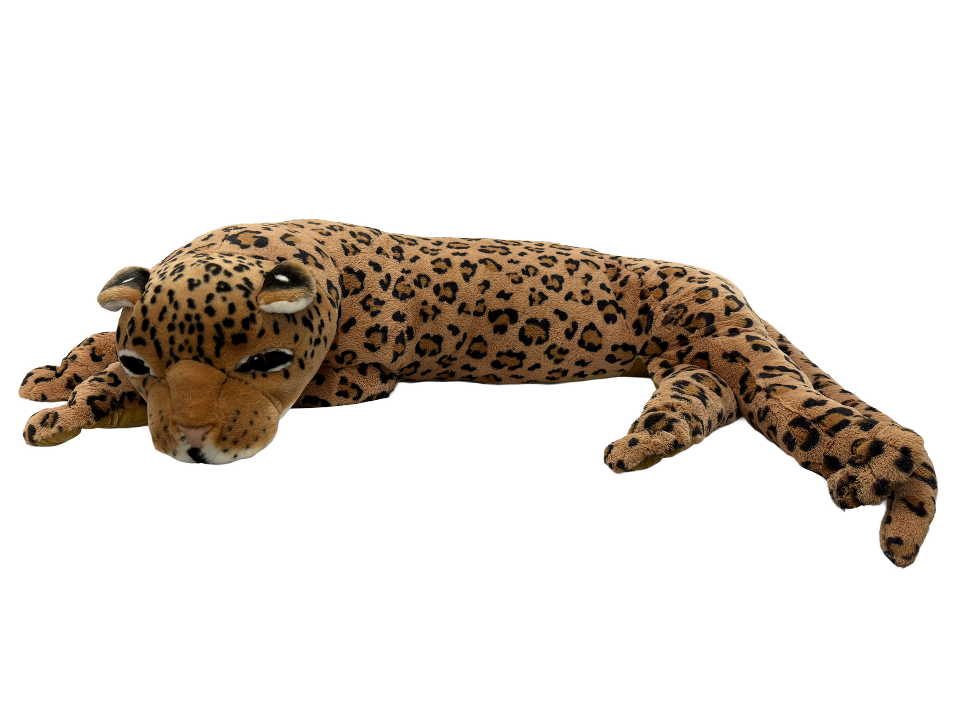 Plush Stuffed Safari Animals Jaguar Rental New York City Bronx Manhattan Bronx Queens Long Island Nassau County