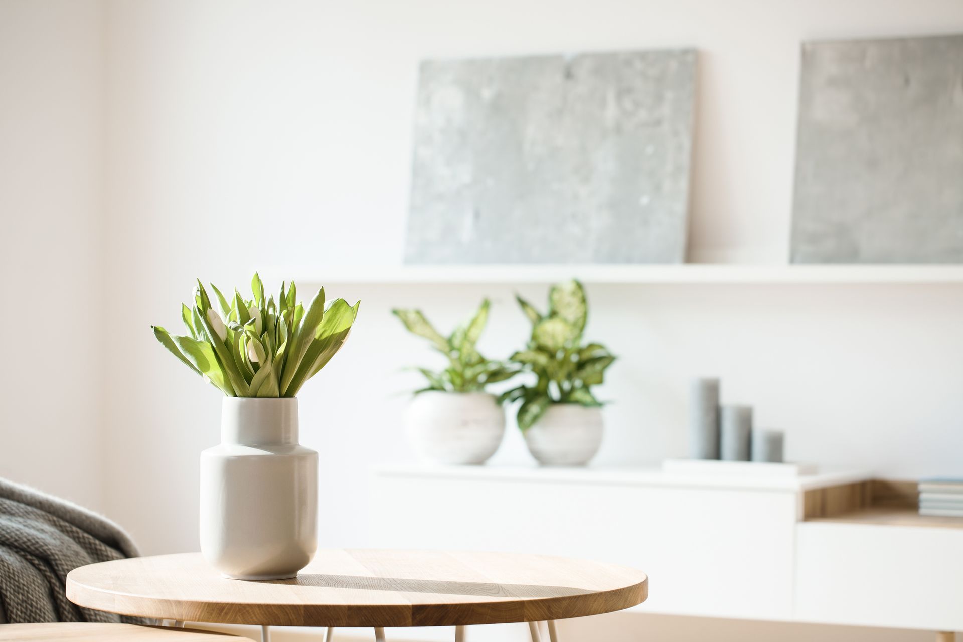 a potted plant is sitting on a wooden table in a living room .