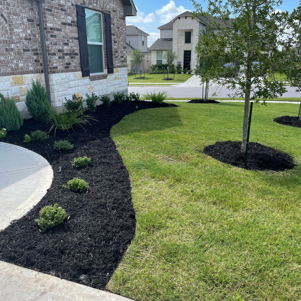 Landscape Maintenance