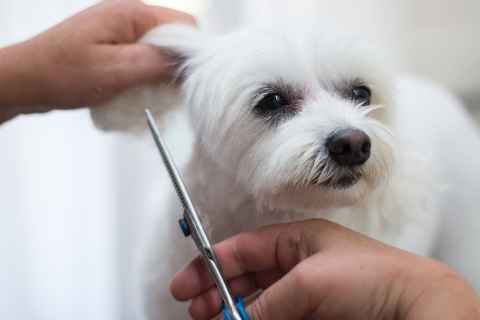 preparazione per concorsi