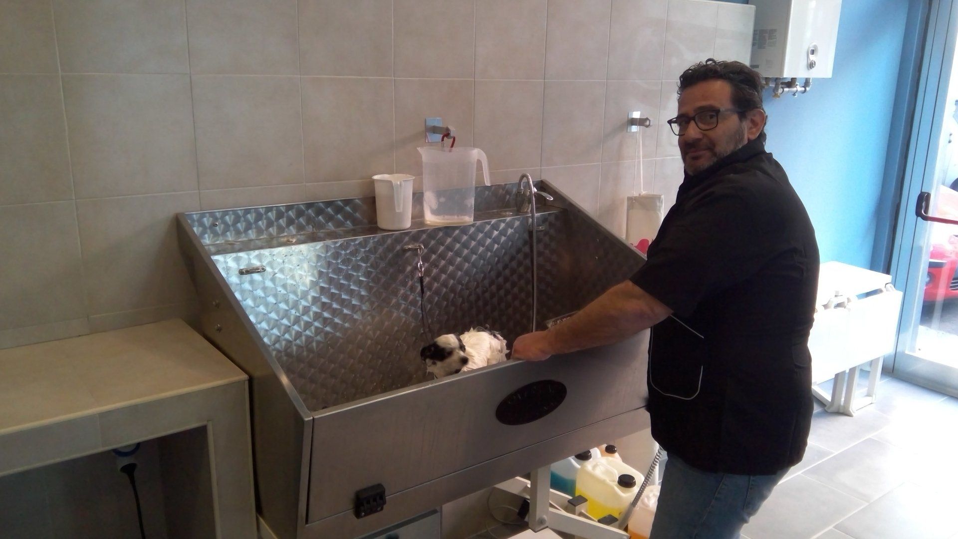 lavaggio e toelettatura