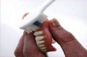 A person is brushing a denture with a toothbrush