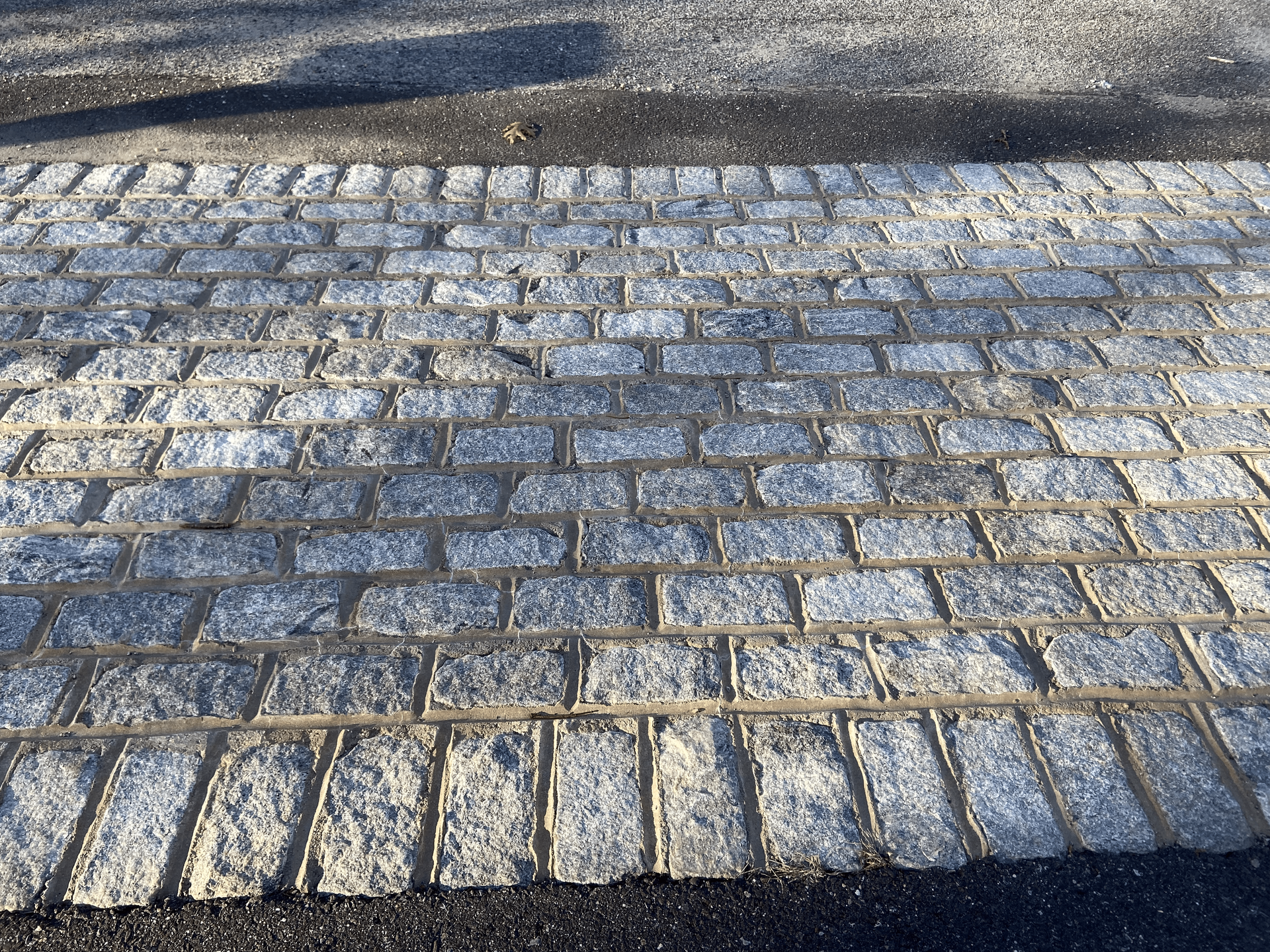 A close up of a cobblestone driveway on a sunny day.