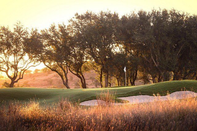 Golden hour view of the spanish oaks golf course