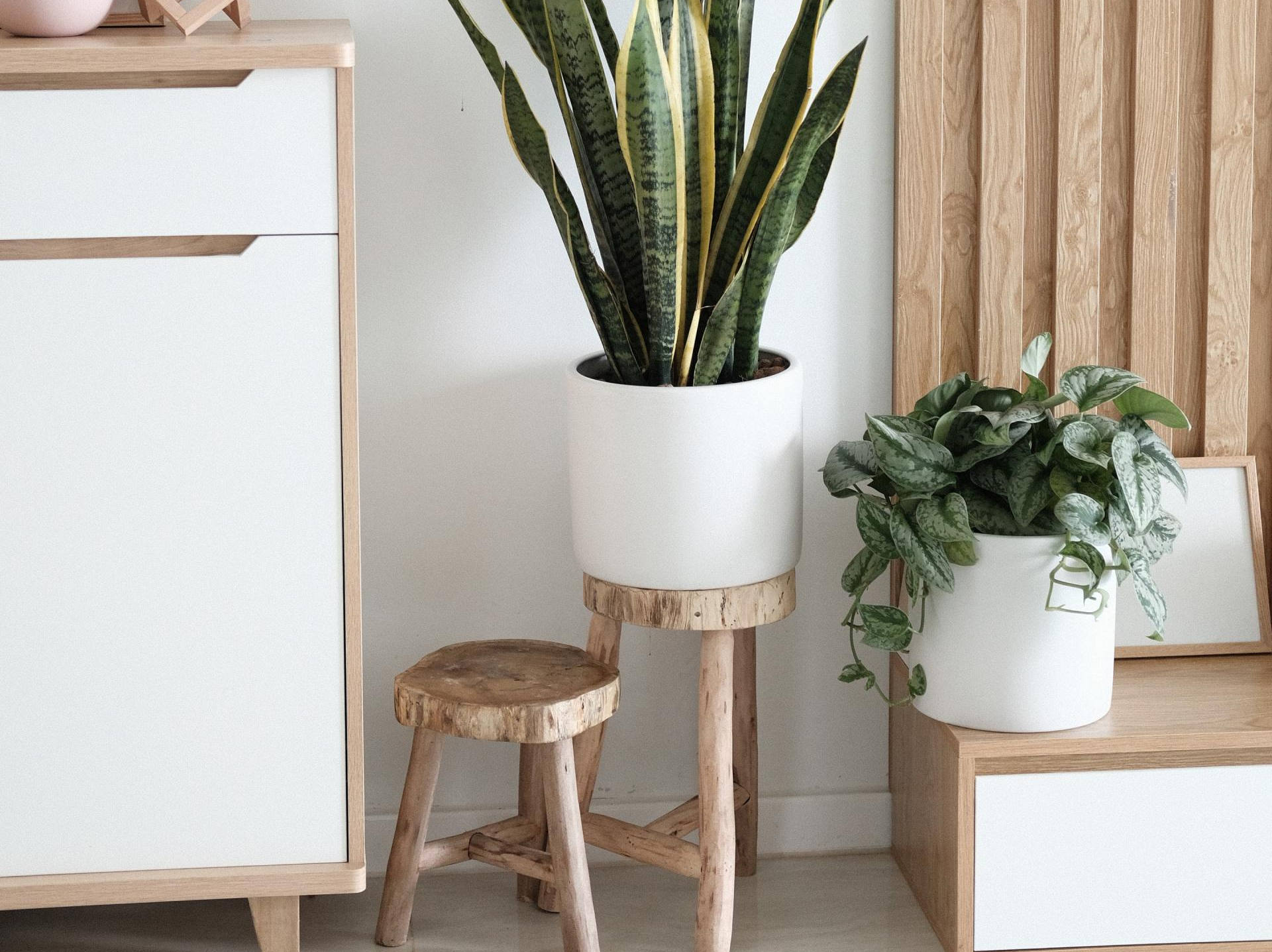 white and wood tone home decor and plants