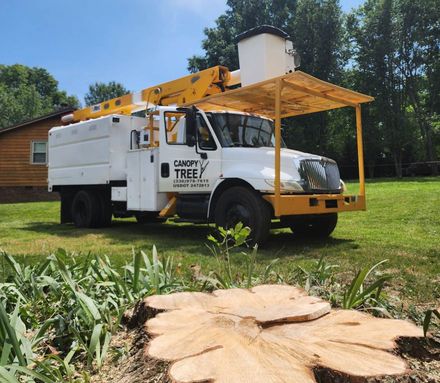 A man with a chainsaw cutting wood — Mocksville, NC — Canopy Tree Service