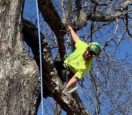 A man cutting trees — Mocksville, NC — Canopy Tree Service