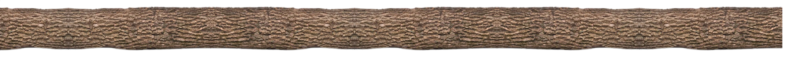 A close up of a row of brown hair on a white background.