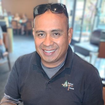 Alex Altamirano - Chico Area